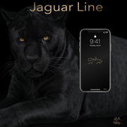 [Image: mock-up-jahuar-line.png]