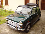 P1010009-2.jpg