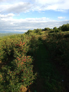 IMG_20210614_182511806