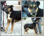 Be-Funky-collage-24.jpg&key=ae1155112d5f