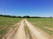 IMG-20180512-114612