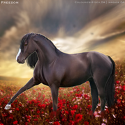 45B3717A-BFB0-4C16-81EB-48FC0FE29704