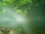 Shazim Creations1 (23)