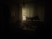 IMG_20211224_235302_tigr