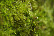 DSC04230