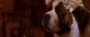 vlcsnap-2025-02-22-15h06m35s064.png