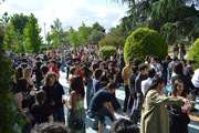 DSC-0683