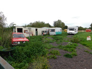 DSCN0729.jpg