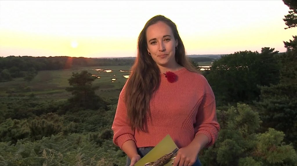 [Image: 8i0fin6g8iqz.jpg]