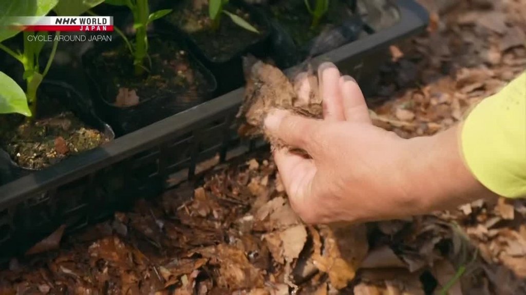 [Image: hm41ldur3gu6.jpg]