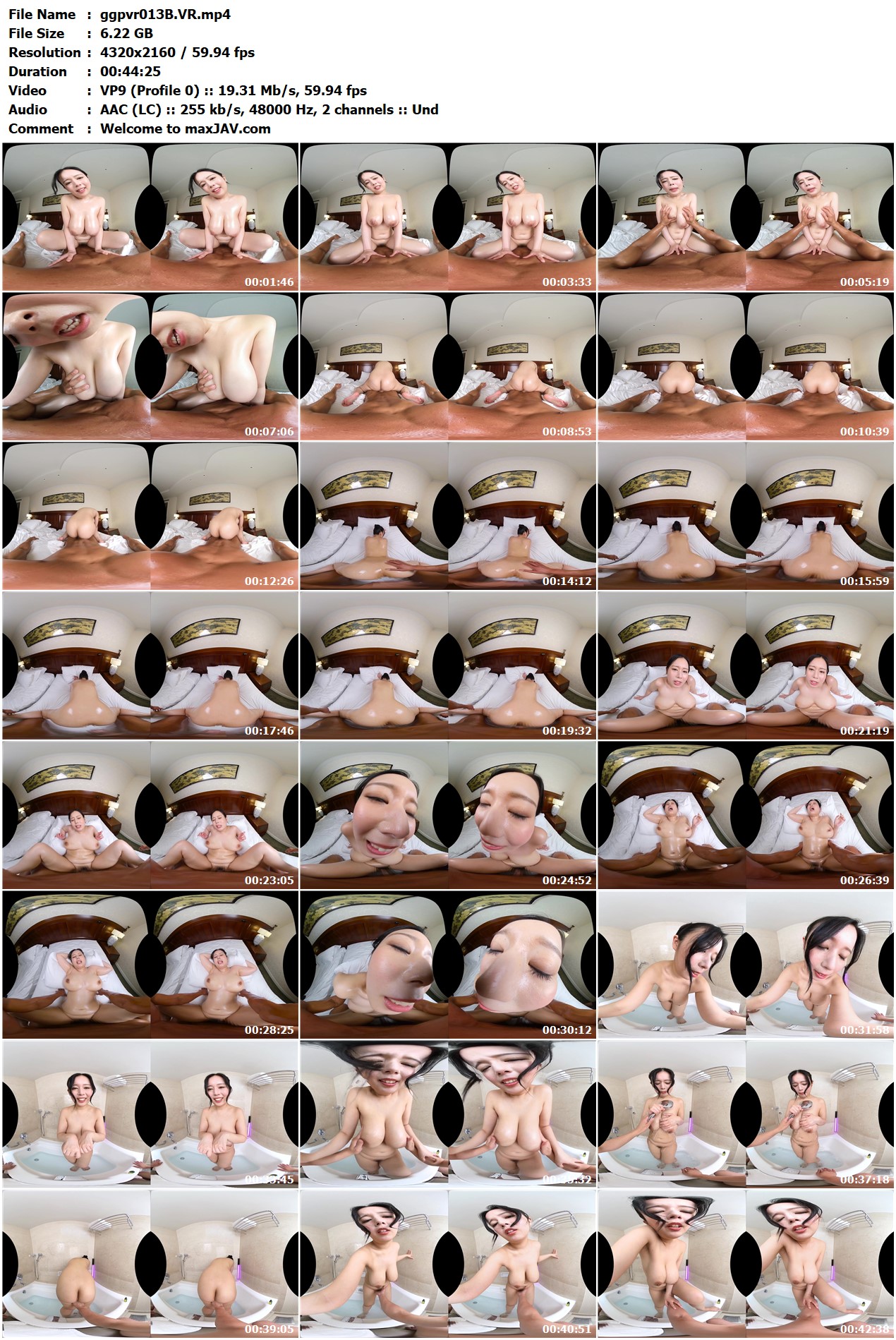 ggpvr013-B