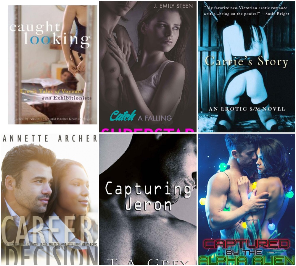 20 Erotic Books Collection Pack 8