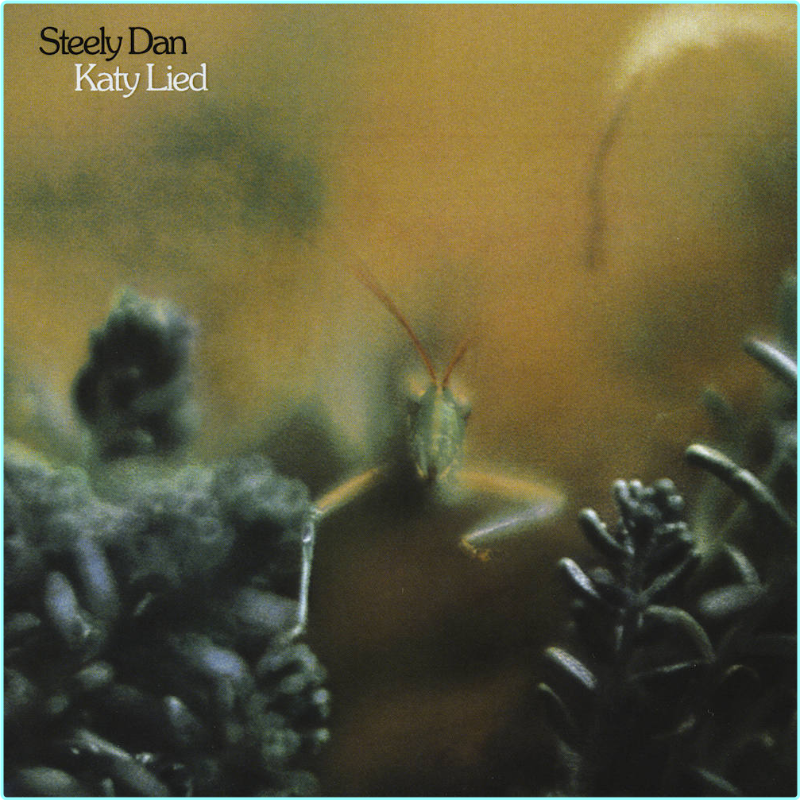 [Image: s3o6yolik0d9.png]