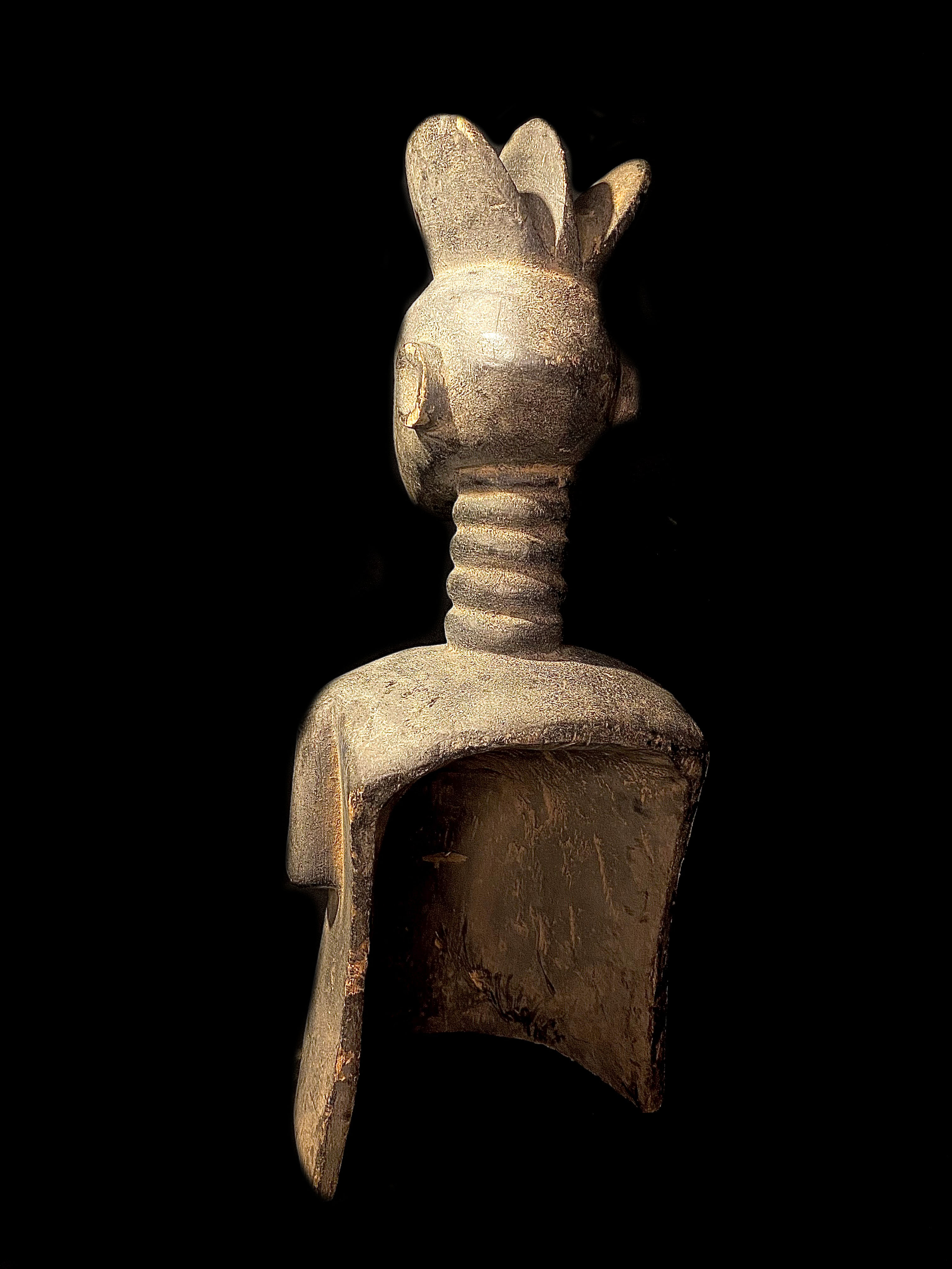 large image 6