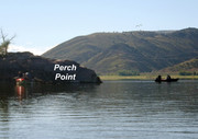 [Image: PERCH-POINT.jpg]