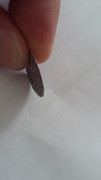 1 Groschen Bulgaria s.XIV Image