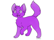 cbc88f1352805104 (1)