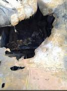 8F18B319-89BF-4136-B4A4-85380DCA8BE2