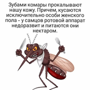 https://i.postimg.cc/4H9m3h50/110.png