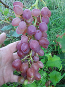 20190905-075657