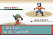 Pokemon Emerald's Eight v1.5: Now with full dex and Physical/Special split!