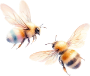 tk-Bunny-Kisses-bees2