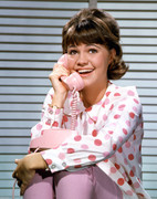 Sally-Field-c42