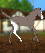 34EEB507-615F-4F68-896F-4654F3C85A64