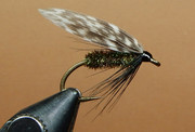 Alder-1080