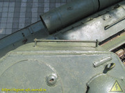 IMG-5733