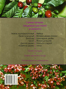 Plodovy-sad-v-komnate-2002-34
