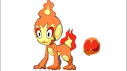315px-Chimchar-DPMA-1-Settei