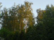 photo 31 2026 01 10 15 54 54