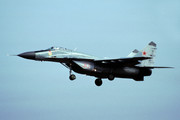 31 GvIAP MiG-29S, 30 red_2960728106_April 1991