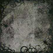 tumblr_c8ee73f6d76557cdf33918a9b1b7f9e6_564c5742_250