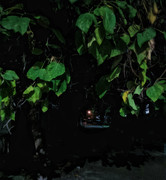 1761329721297-01.jpg