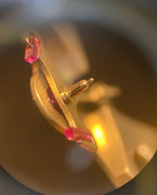 m84060375783-12