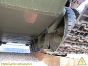 IMG-3549