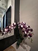 Galeri Della Homestay