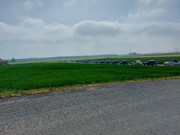 20220508-111243.jpg