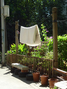 photo 5 2025 12 17 21 07 33