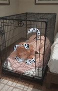 2b-(sleeping)