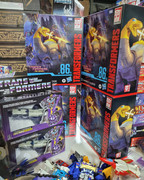 292313729-6097576976923477-66989506429672554-n