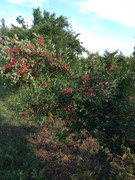 IMG_20210614_174039503