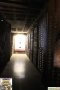 IMG-5826