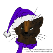 Untitled214-20221222201035