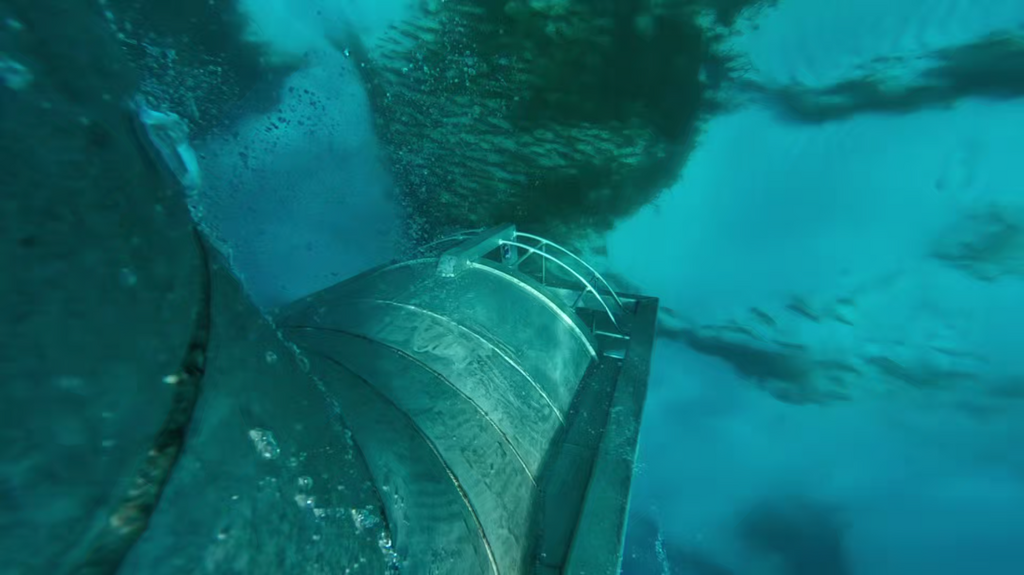 [Image: f3oqz1l39awr.png]