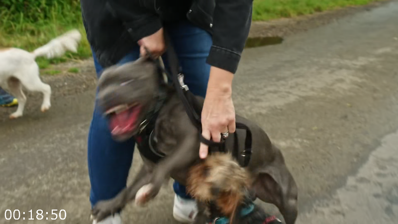 [Image: 2qo92qq1jsok.png]