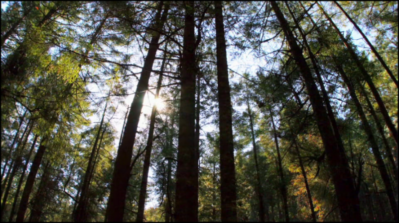 [Image: jmo283ouu3kb.png]