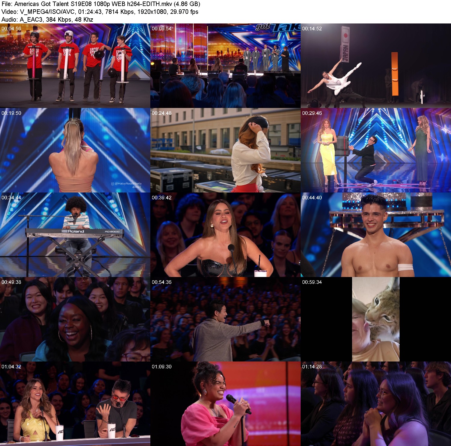 [Image: 4r8vz77ioxoq.jpg]